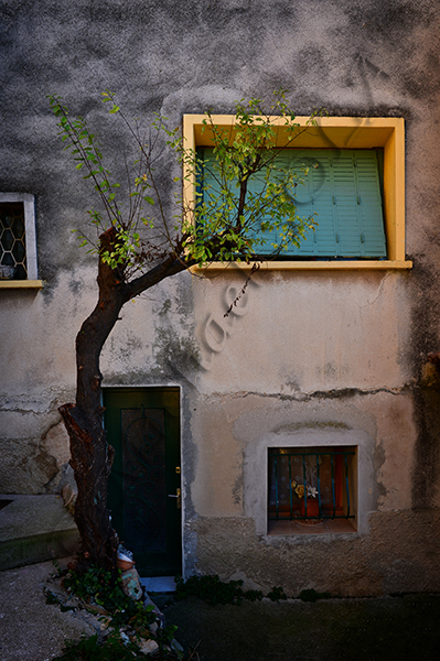 © Smike Photography by Michael Sola - All Rights Reserved